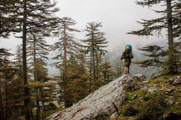 freepik.com/ maksymfesenko