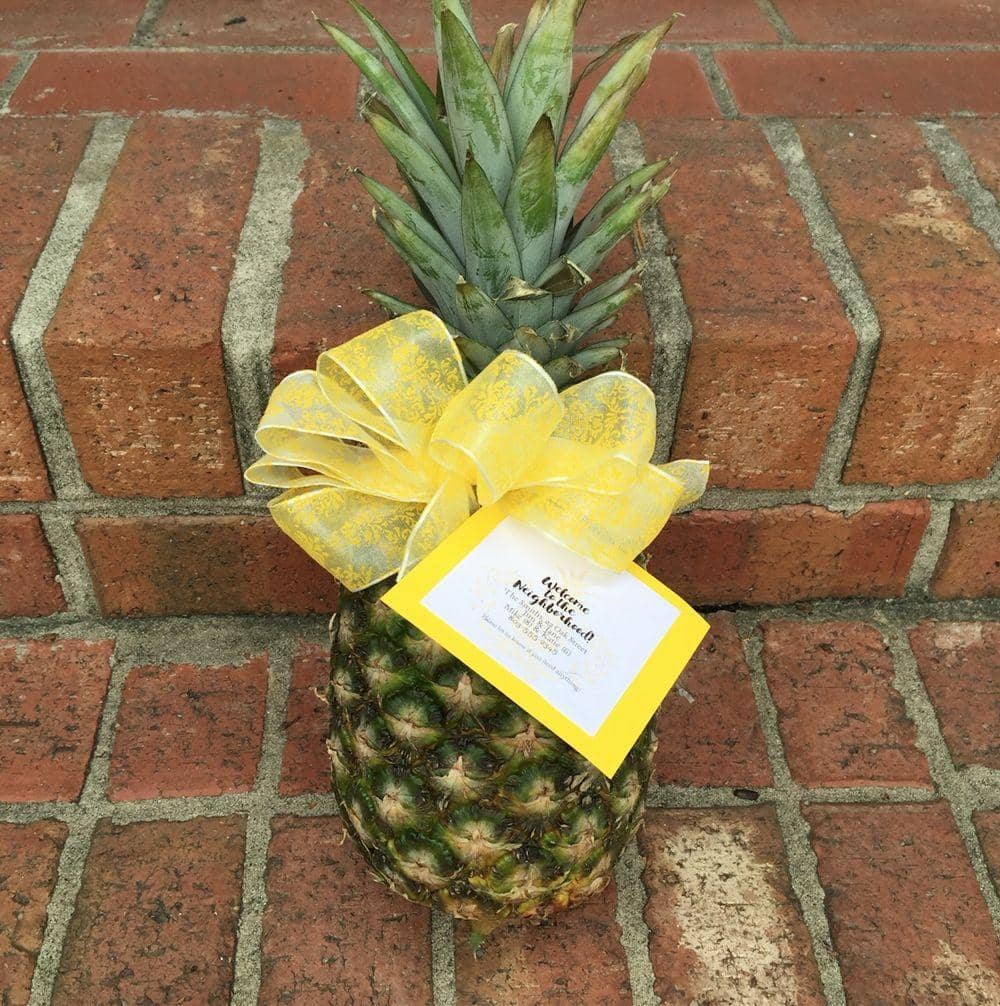 id.pinterest.com/pamelapfierro