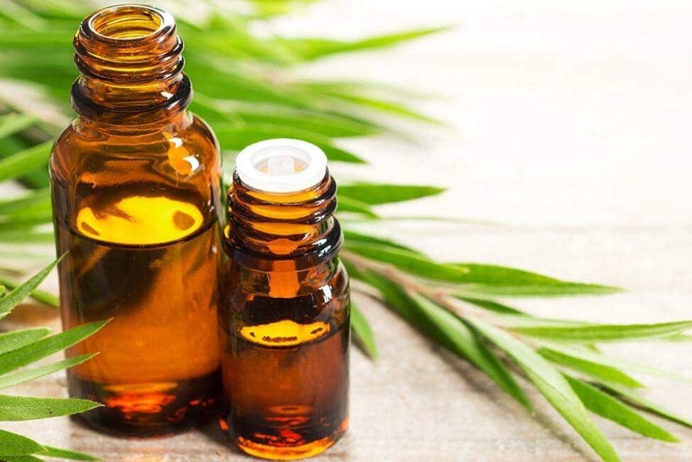 lilyfarmfreshskincare.com