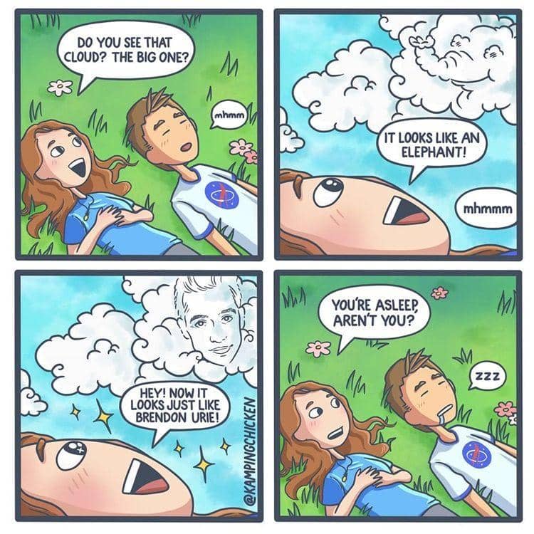 Instagram.com/kampingchicken