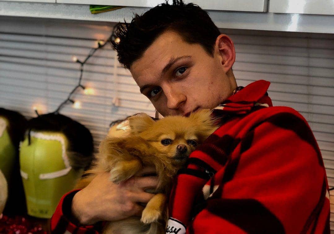 Instagram.com/tomholland2013