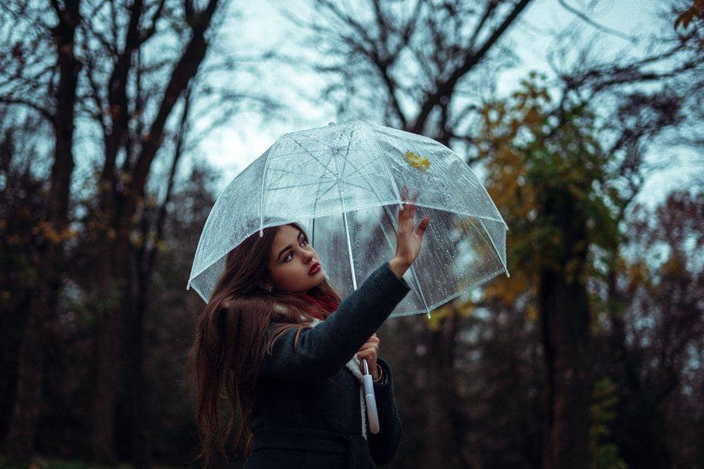 Unsplash.com/Elijah O'Donnell