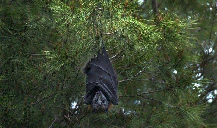 Unsplash.com/Vad Kutepov