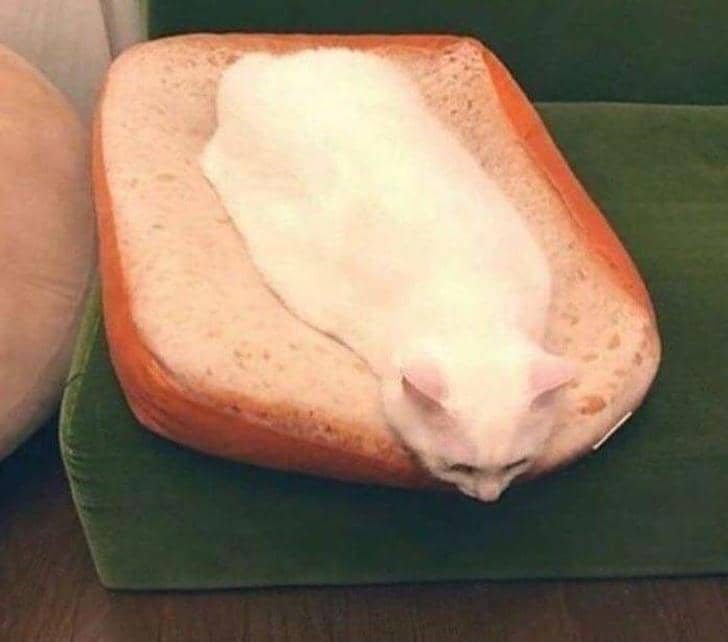 Reddit.com/ thaonguyen1207