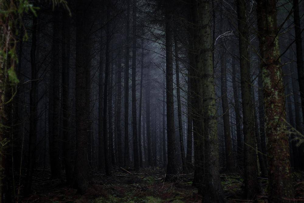 unsplash.com/Rosie Fraser