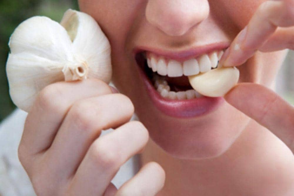 timesofindia.indiatimes.com