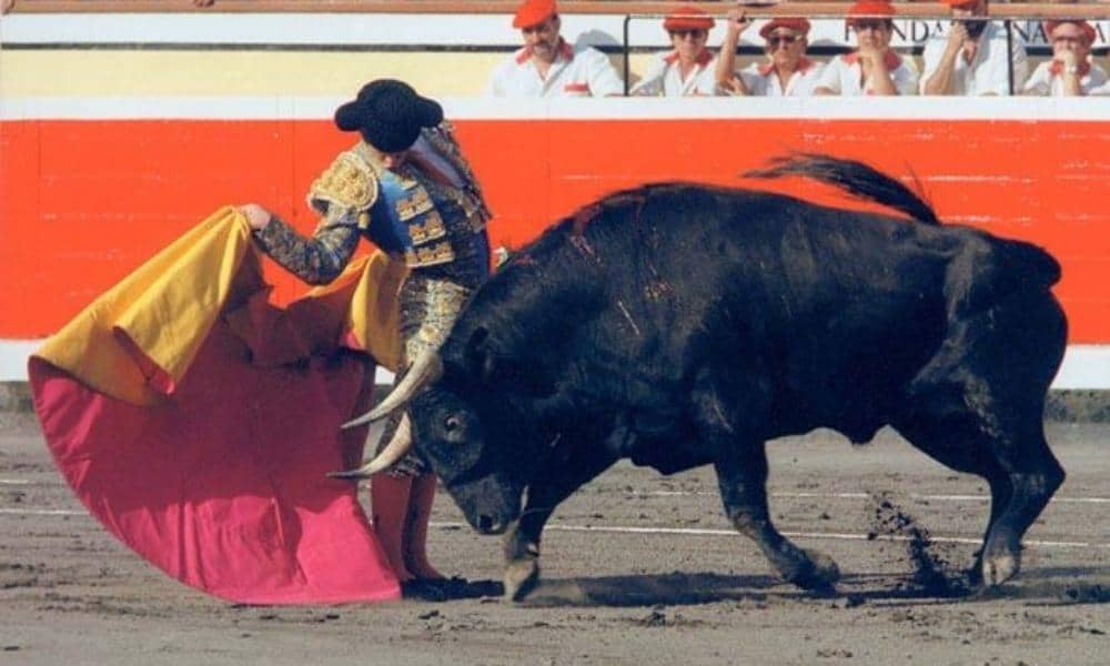 Pinterest.com/Toreria.es