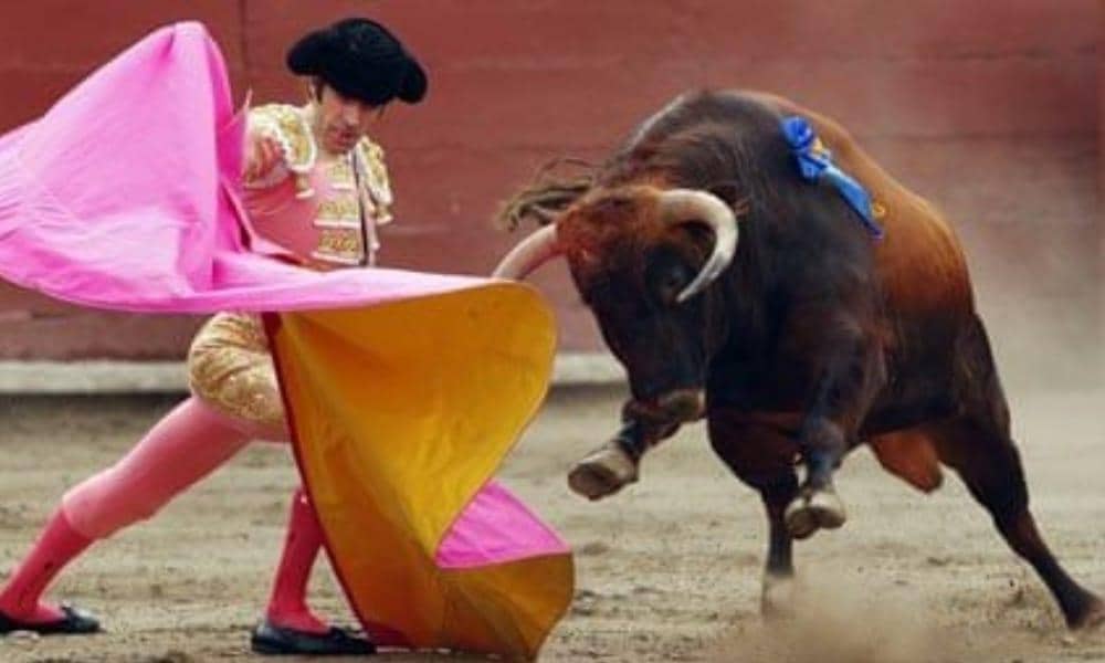 Pinterest.com/TheGuardian