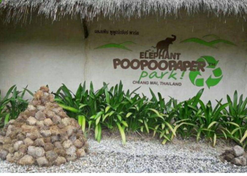 whatsup-chiangmai.com