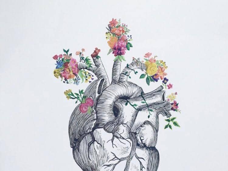 Dok. Internet/Pexels