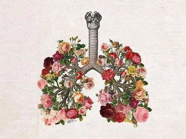 Dok. Internet/Pexels