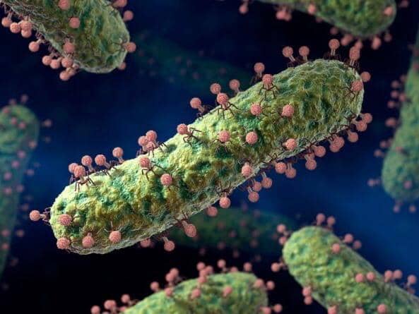 Dok. Internet/Pexels