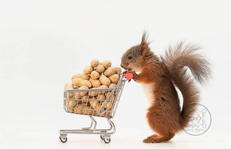 instagram.com/ geertweggen