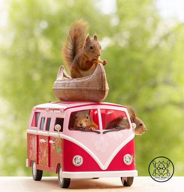 instagram.com/ geertweggen