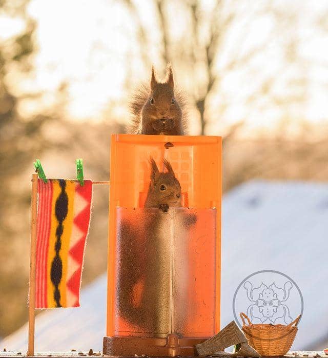 instagram.com/ geertweggen