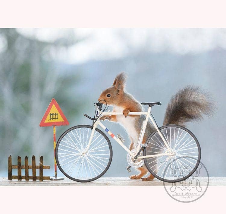 instagram.com/ geertweggen