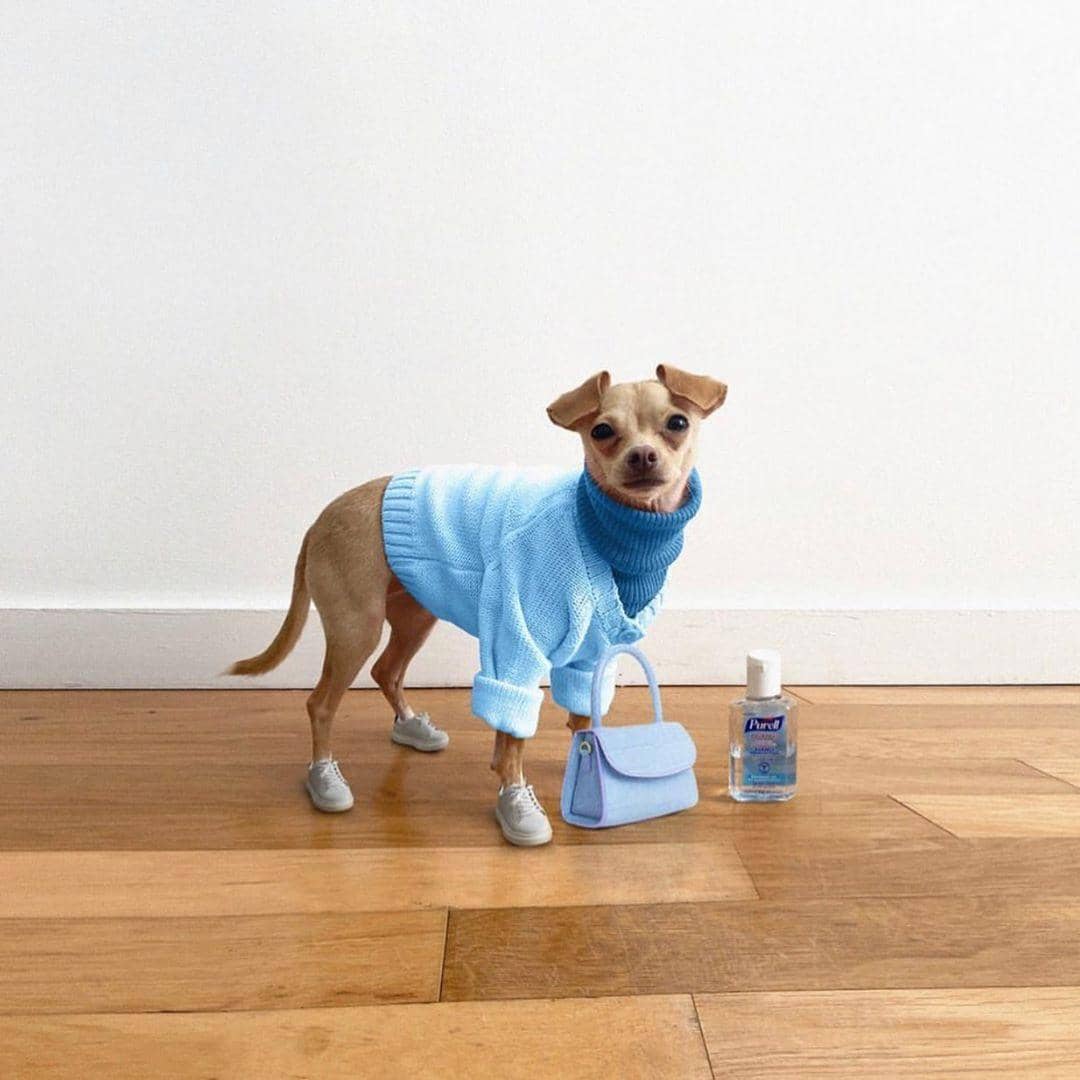 Instagram.com/@wfhfits