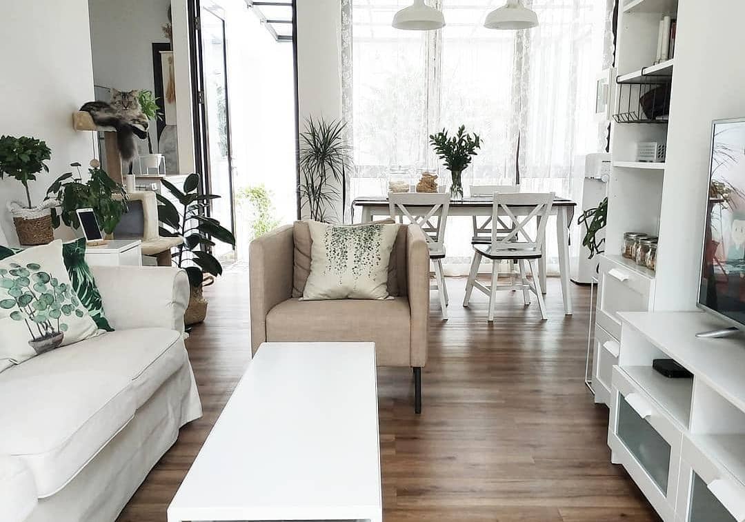 instagram/kellyshirouchi