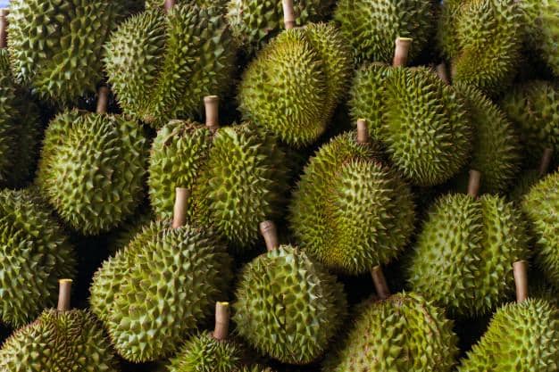 freepik.com/ sukjit4112