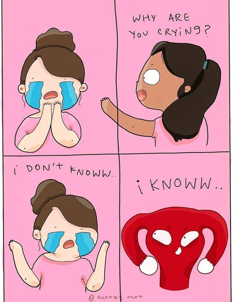 Instagram.com/moodyymoo