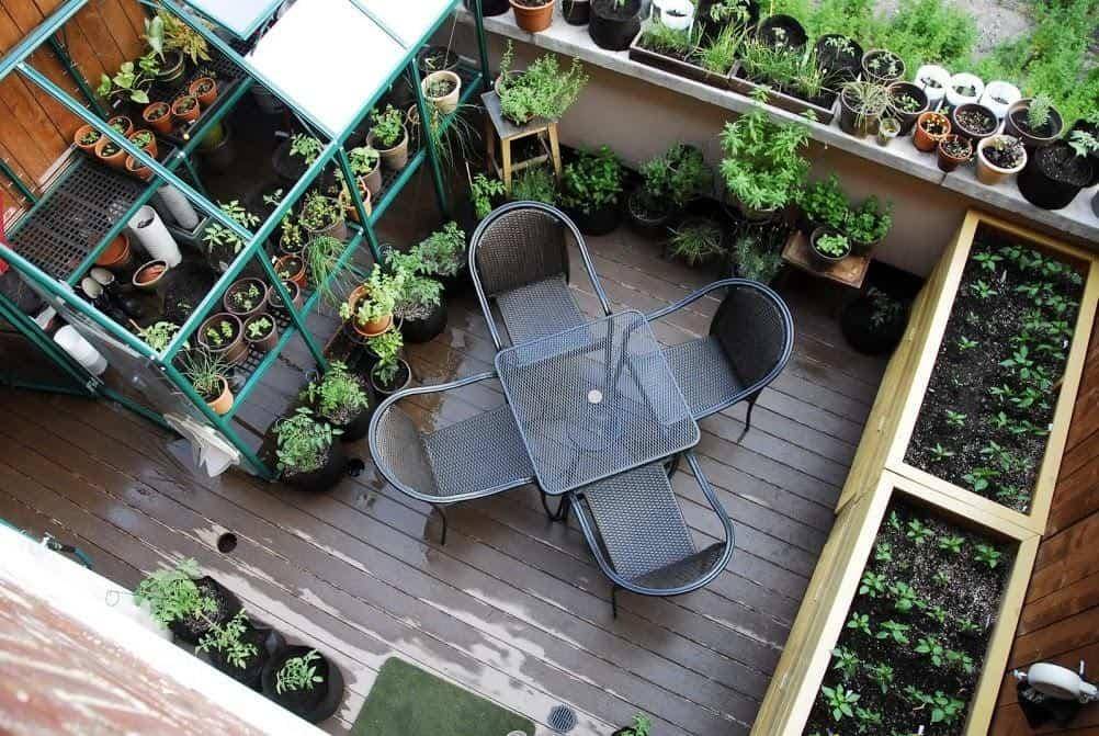 Ingin Berkebun Sayur di Rumah? Ini 8 Inspirasinya