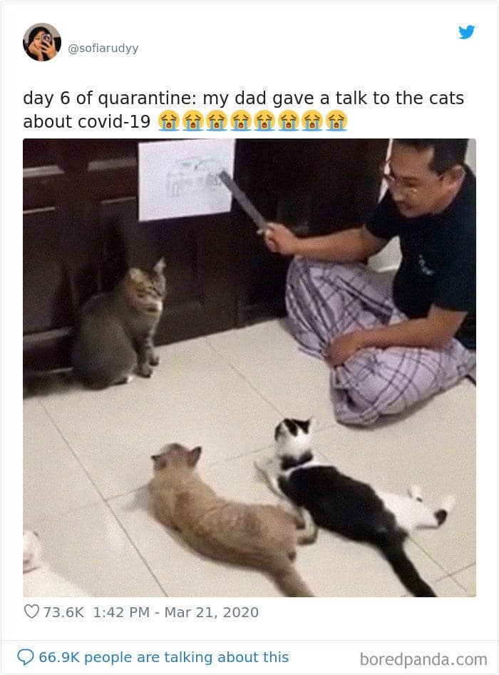 Twitter.com/Sofiarudyy