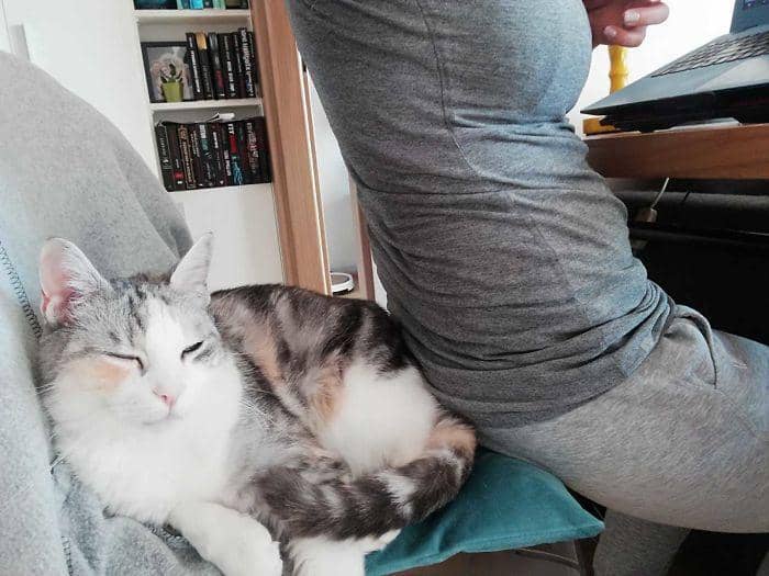 boredpanda.com/Delgada