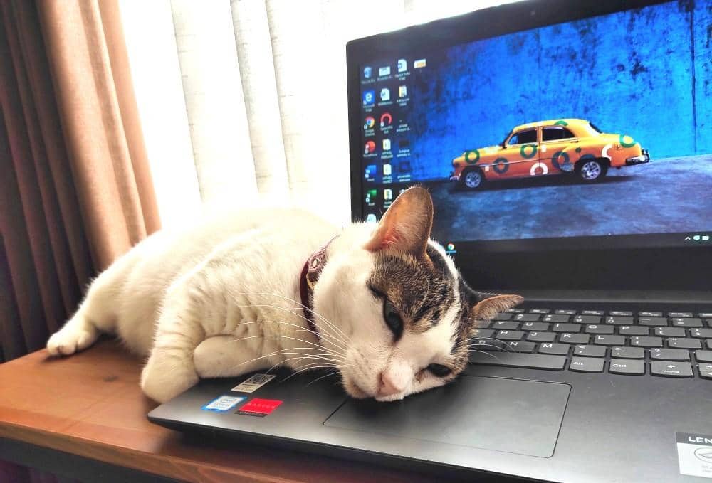 instagram.com/itsmeupis