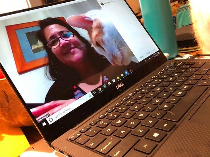 Boredpanda.com/JanetSnyder