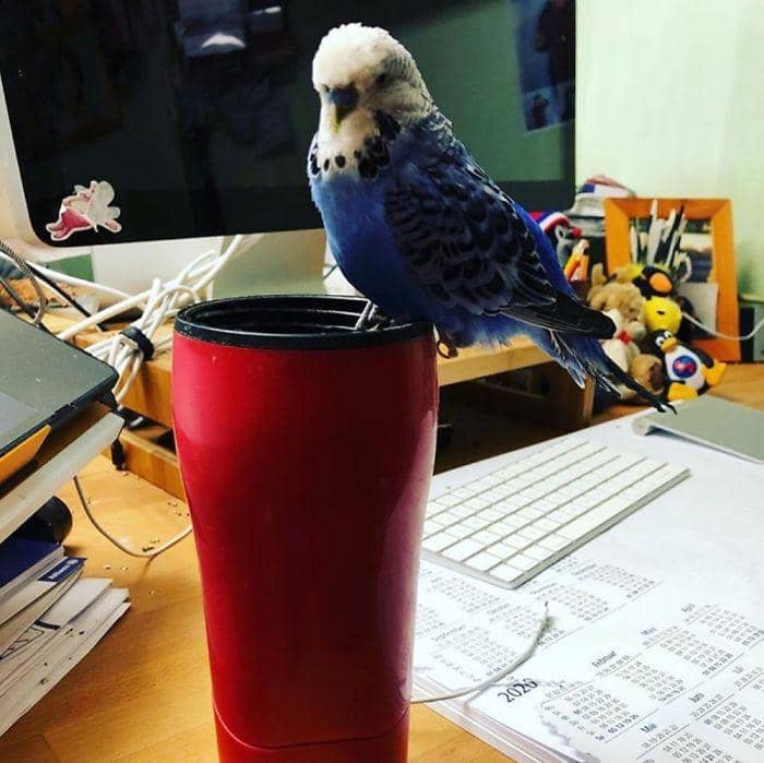 boredpanda.com/RadekSuski