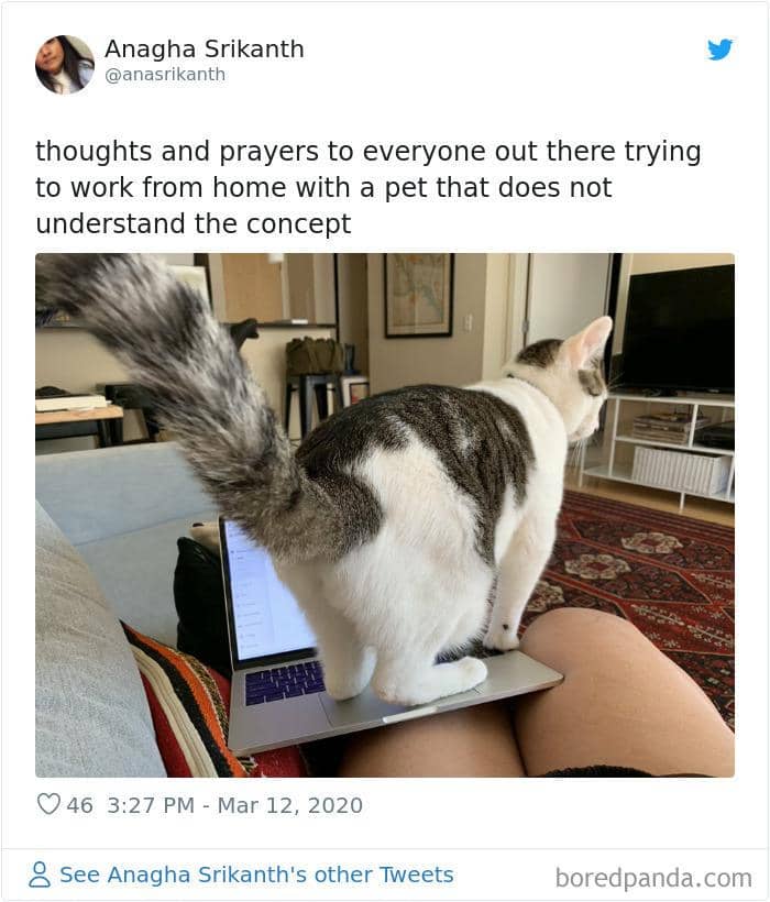 twitter.com/anasrikanth