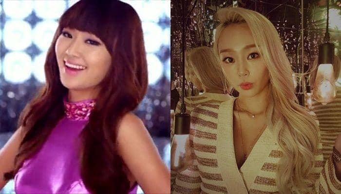 instagram.com/xhyolynx