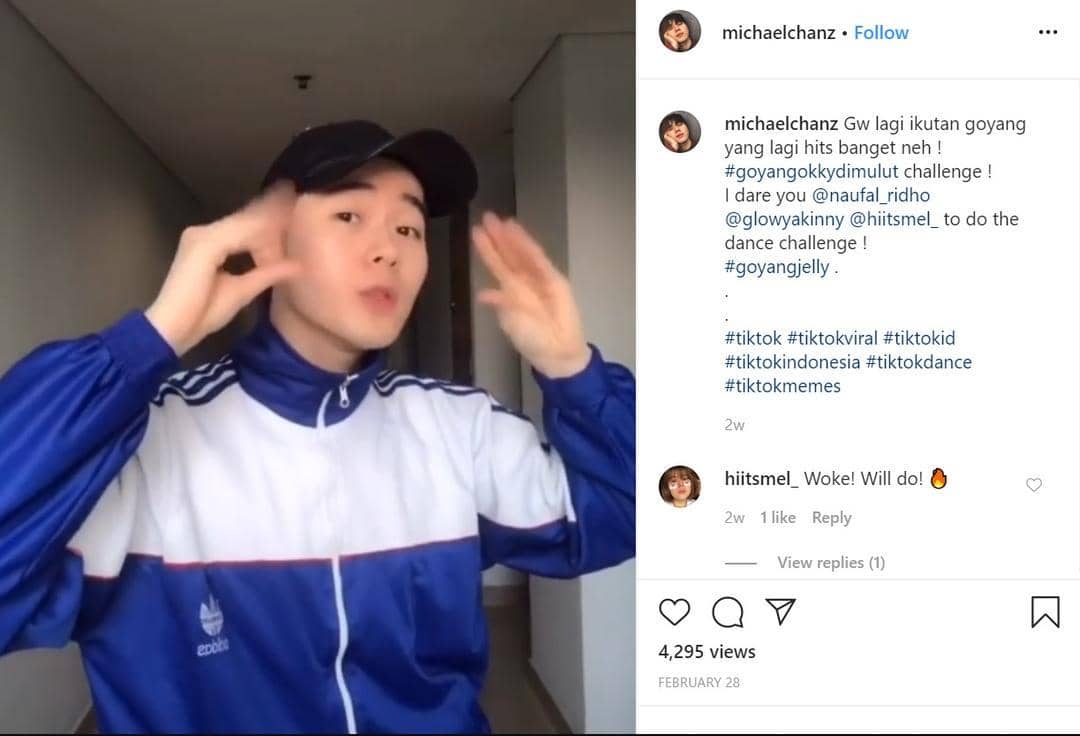 instagram.com/michaelchanz