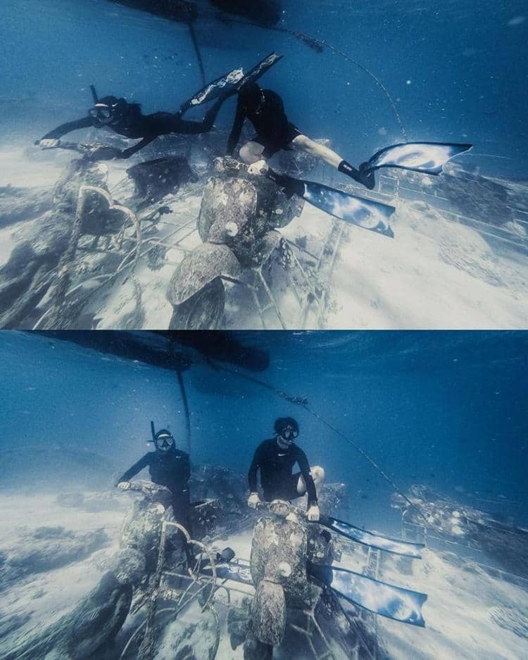 Instagram.com/aryanifitriana24