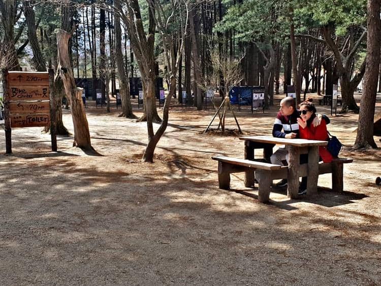 Instagram.com/okankornelius