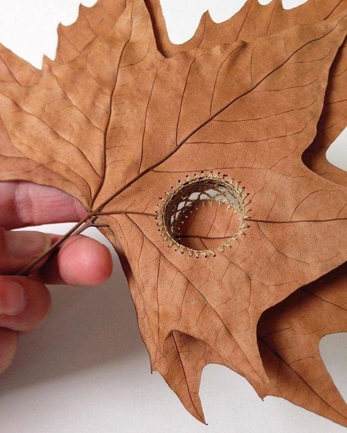 Instagram.com/susanna_bauer