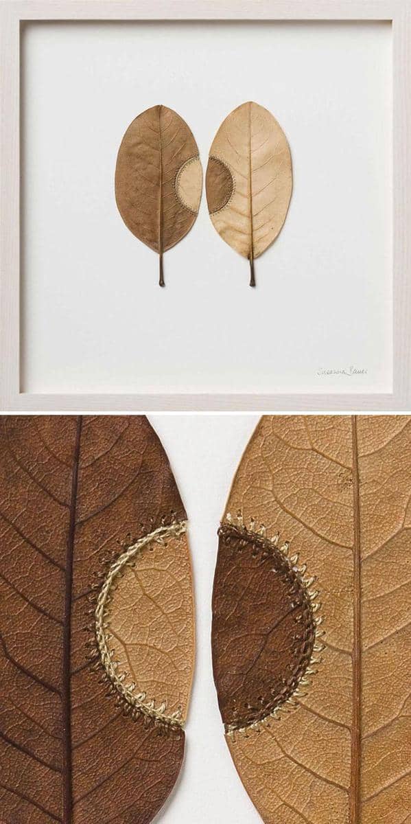 Instagram.com/susanna_bauer