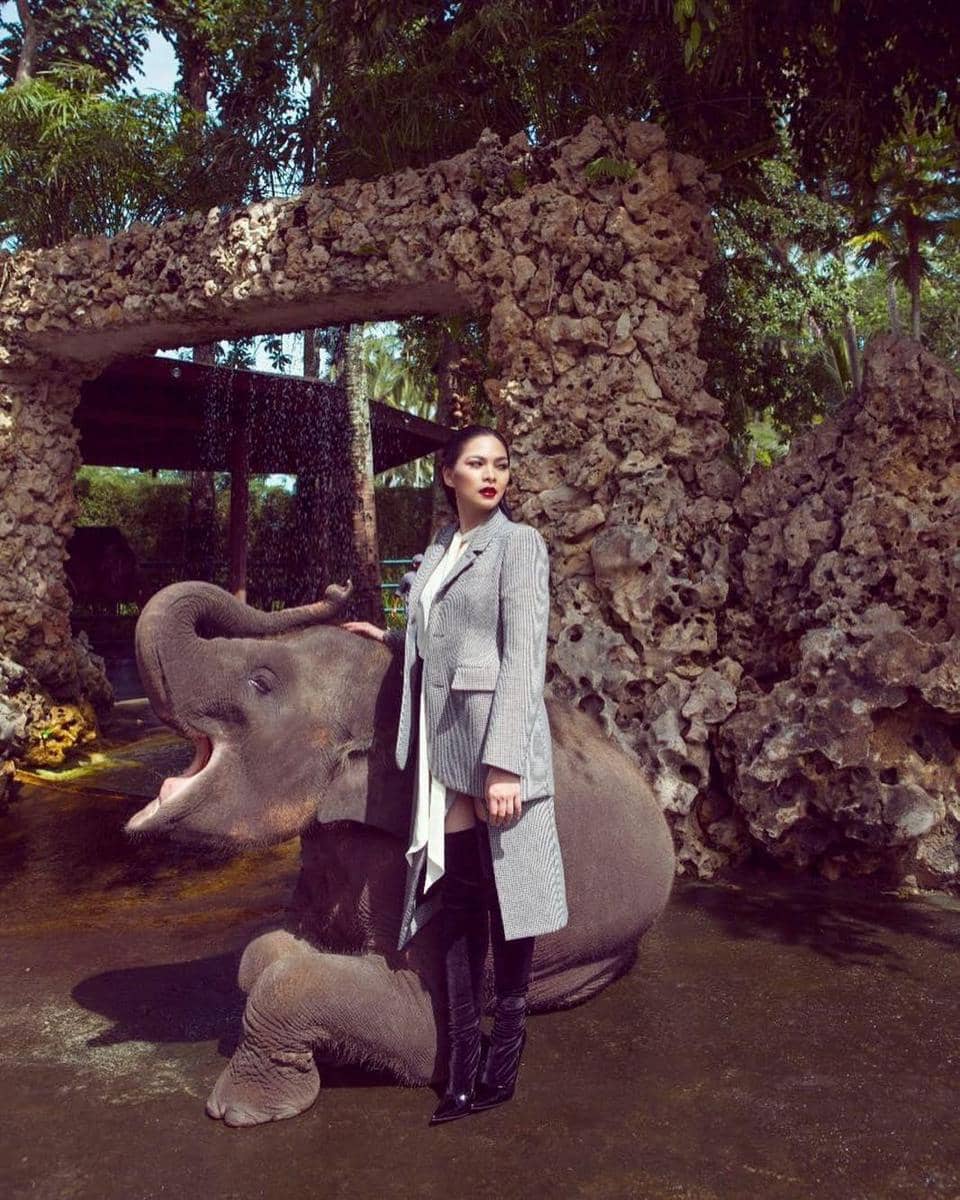 instagram.com/mestyariotedjo