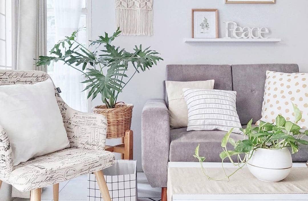 Instagram.com/evita_laz