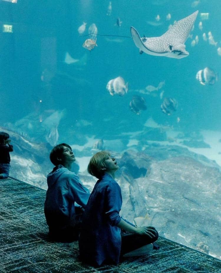 Twitter.com/NCTsmtown_127