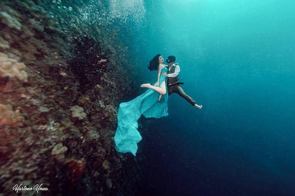 Instagram.com/karbearv