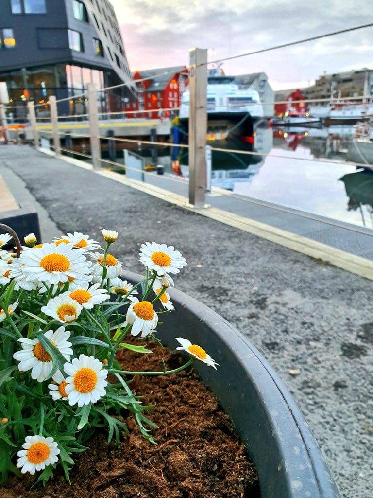 Dok. Ruswandi Y. Karlsen