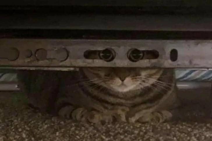 reddit.com/ Didnotfindausername