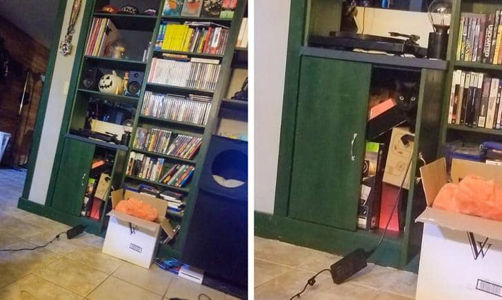 twitter.com/ gomamon