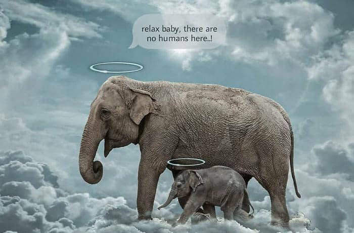 Instagram.com/world._.photography0