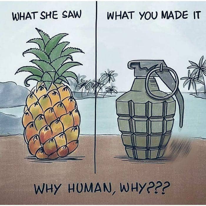 Instagram.com/raibinesh974