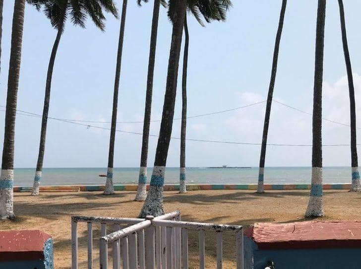 Reddit.com/r/mildlyinteresting