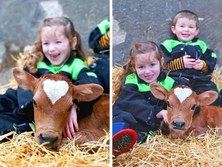 Facebook.com/McAuleyMultimedia