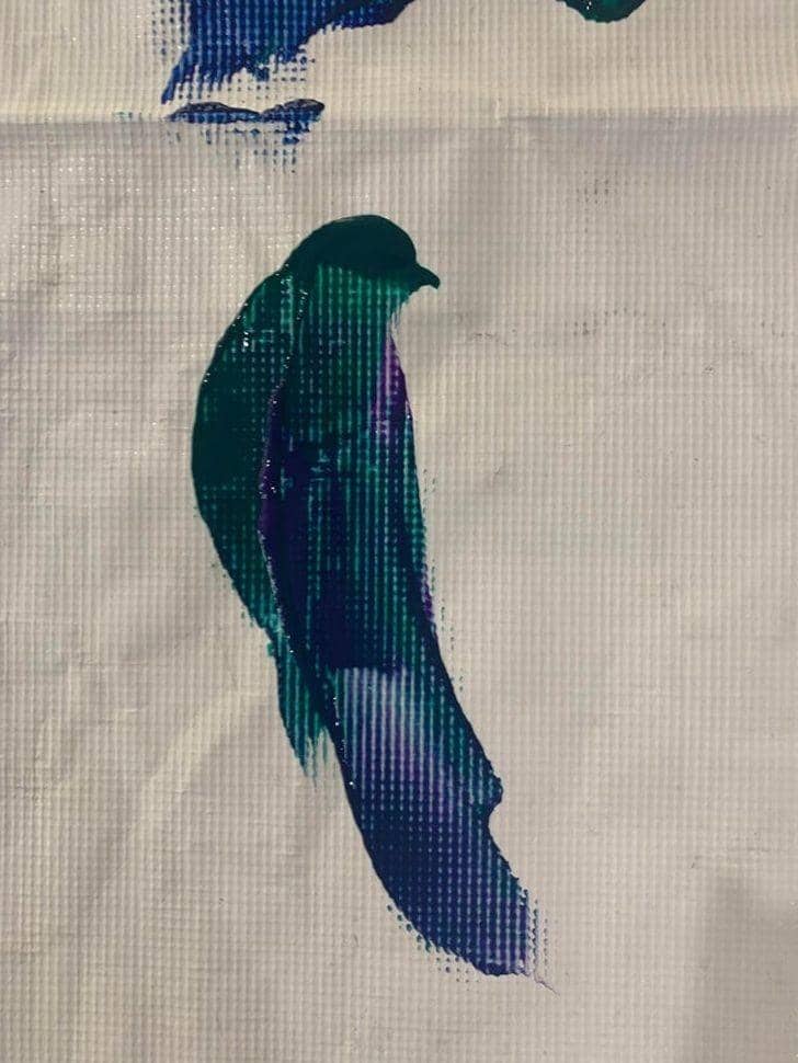 Reddit.com/r/mildlyinteresting