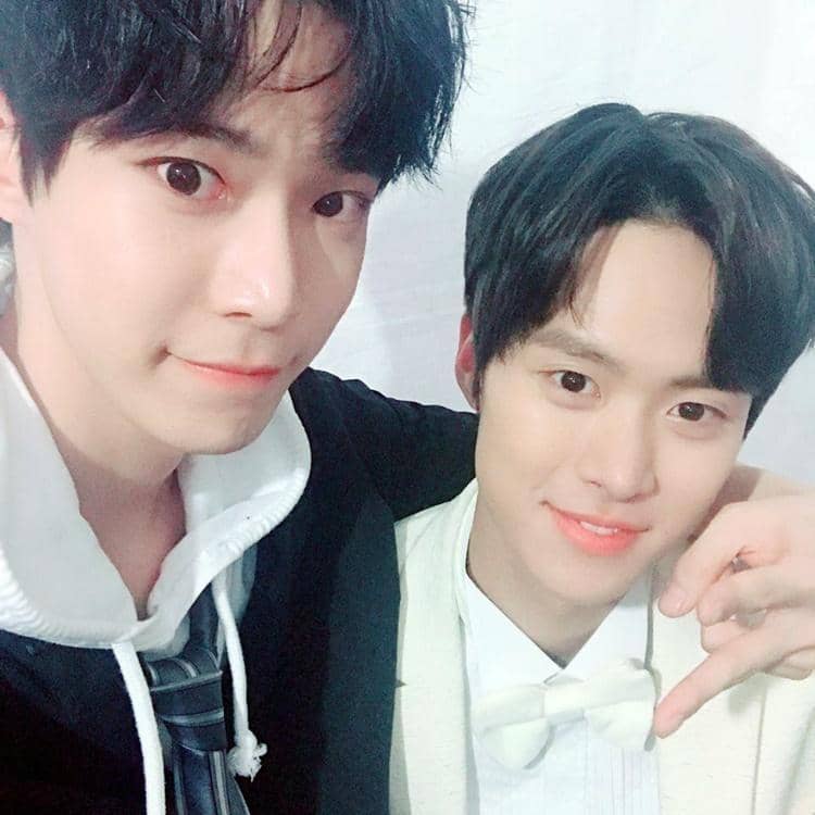 Twitter.com/grasshenies